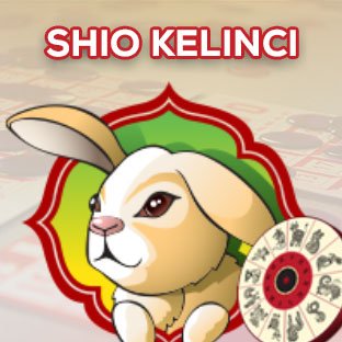 SHIO KELINCI